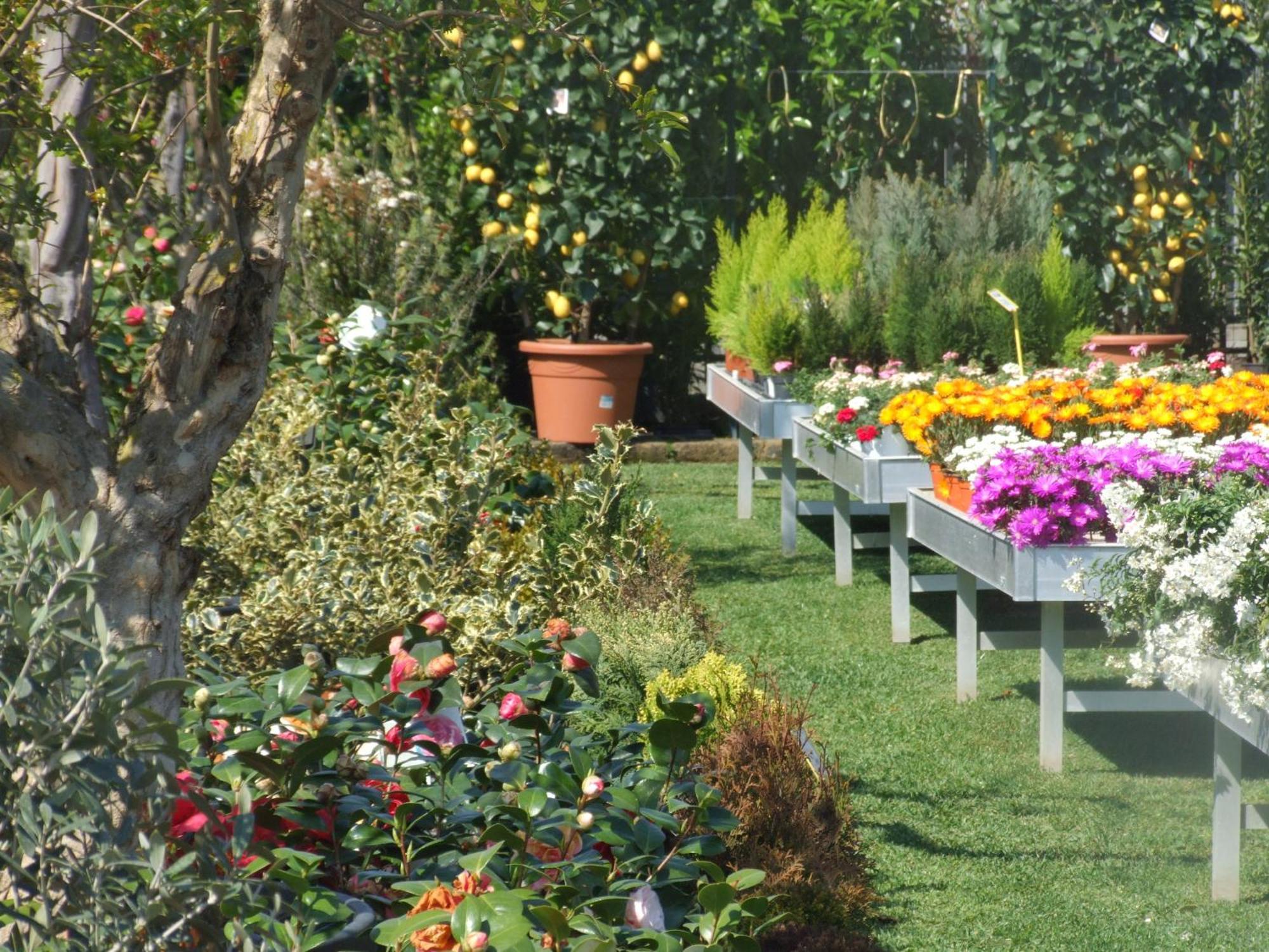 Bed and Breakfast Residenza I Ciclamini Рим Экстерьер фото