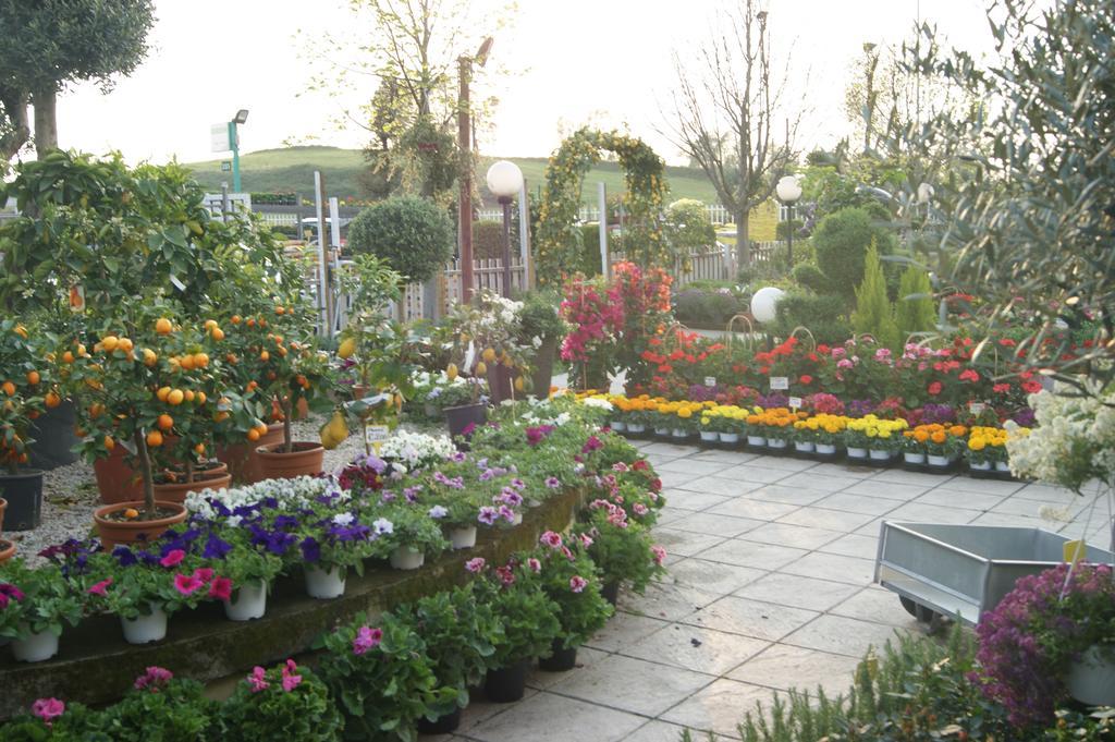 Bed and Breakfast Residenza I Ciclamini Рим Экстерьер фото